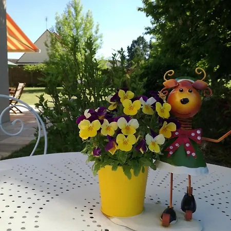 Les Hautes Marnes Circuit Le Mans 住宿加早餐酒店