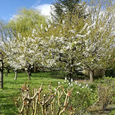 Les Hautes Marnes Circuit Le Mans Saint-Gervais en-Belin