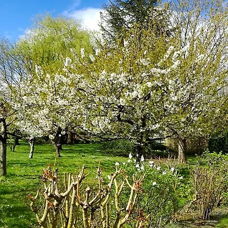 Les Hautes Marnes Circuit Le Mans Bed and Breakfast Laigne-en-Belin