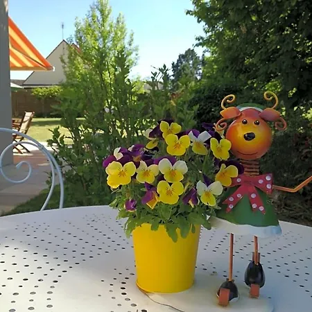 Les Hautes Marnes Circuit Le Mans Bed and Breakfast *
