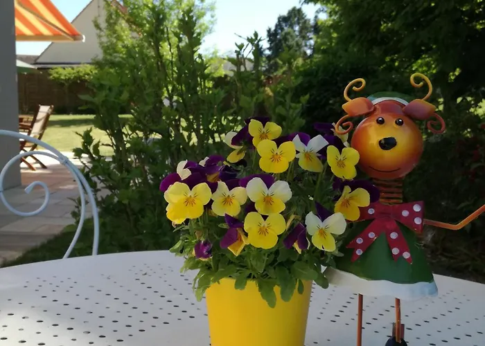 Les Hautes Marnes Circuit Le Mans Bed & Breakfast