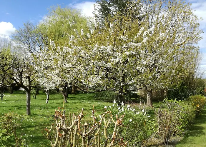 Les Hautes Marnes Circuit Le Mans Laigne-en-Belin